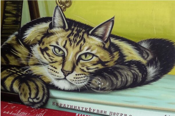 Кот Агат