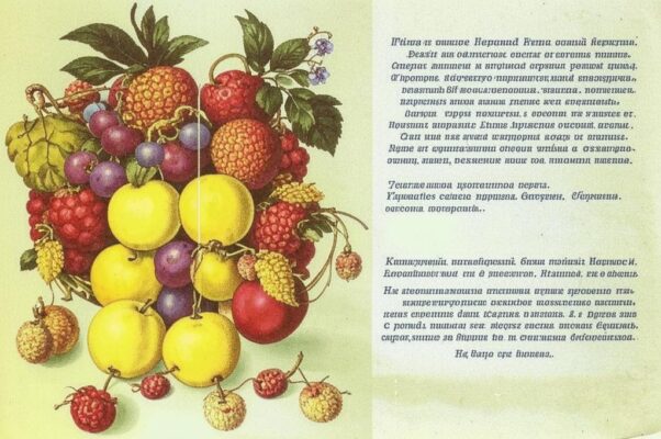 Заветы