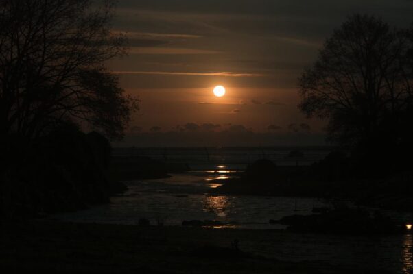 «В моей душе уж вечереет...»