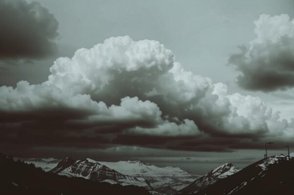 «Расскажи мне, ветер вольный...»