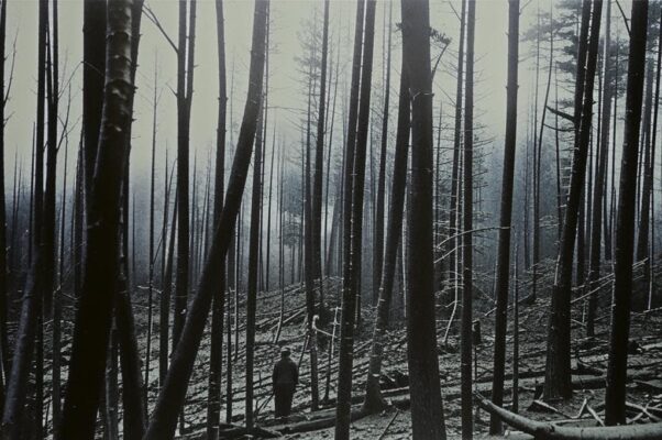 «А не пора ль, товарищ, в партизаны?..»