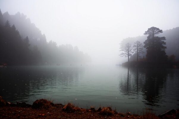 «Туманный день, и черные леса...»