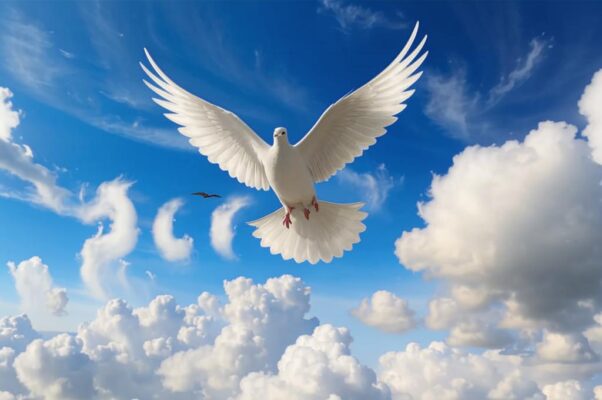 Вилла Фарнезина