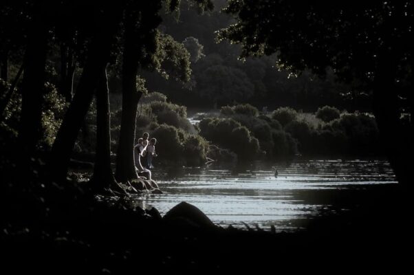 Родине («Только ты.  Отягчаются век…»)