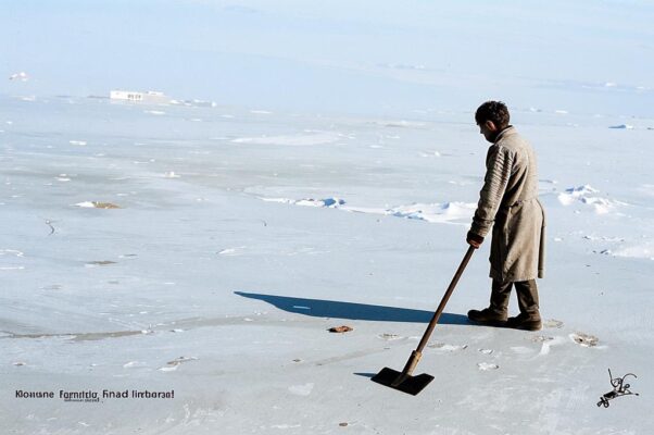 «С нечеловеческим тупым расчетом...»