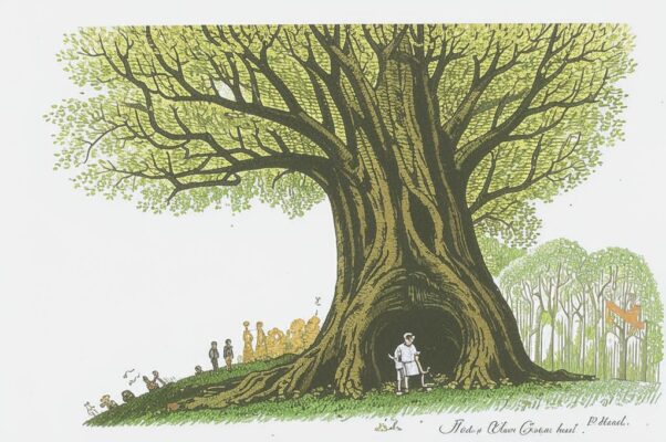 «Дерево раскрыло двери...»