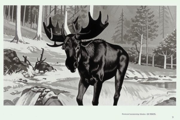 «Лось забежавший с испуга во двор...»