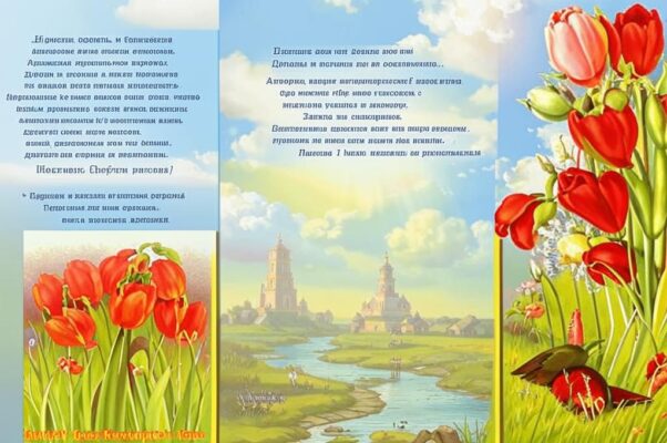 Ведриночка