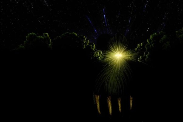 «Благословение да будет над тобою...»