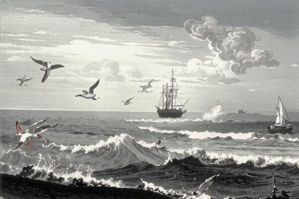 Из Мицкевича