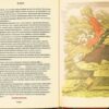 Интродукция к альбому Ольги Александровны (пока таковой еще не существовал)