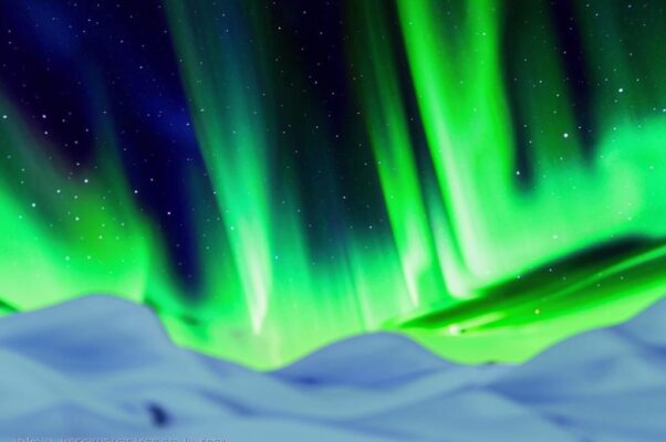 «Север: — море изо льда...»