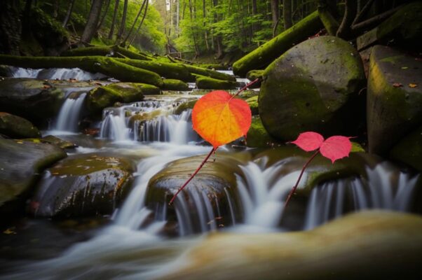 Вальс («Ев.  Д. Зво…»)