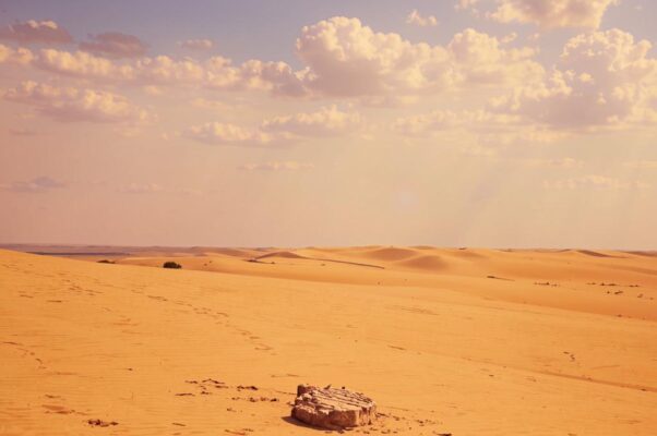 К моей пустыне