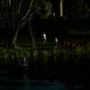 [Песня из драматического отрывка «Ночь на 24 июня»]