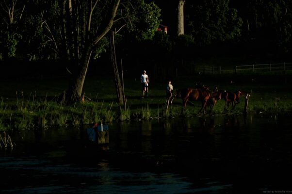 [Песня из драматического отрывка «Ночь на 24 июня»]