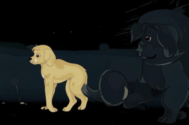 На смерть собачки Амики