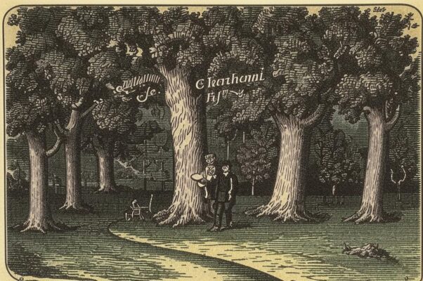 На прогулку в Грузинском саду