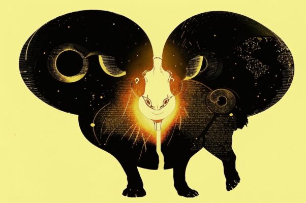 Посылка плодов