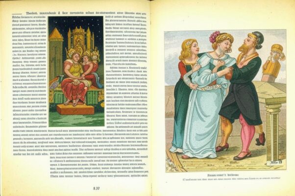 Приношение красавицам