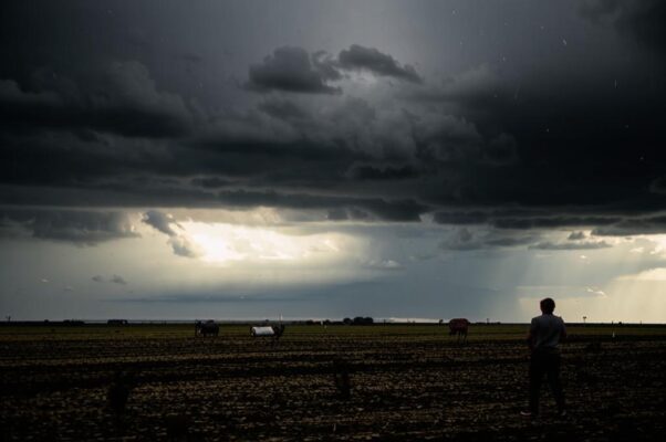 Думы пахаря