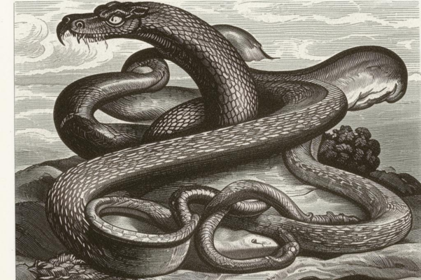 К неправедным судиям