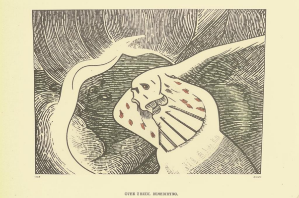 «О, нет, я не могу в душе моей бескрылой...»