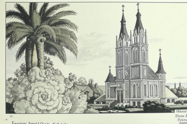 «Уж много кто разглядывал...»