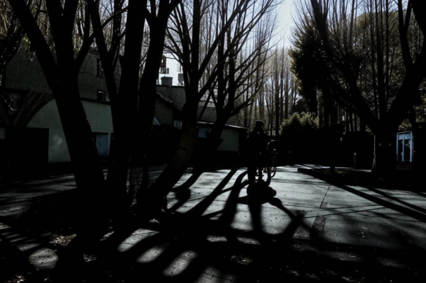 Ивы («За домами, в глухом переулк…»)