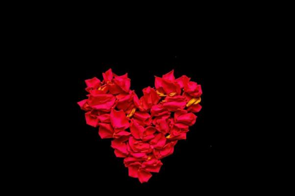 Цветы («Цветы живут в людских сердцах…»)