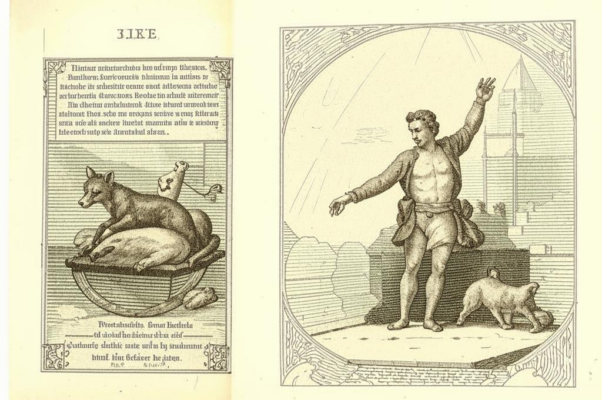 «Салонов лев, львов маленьких протектор...»