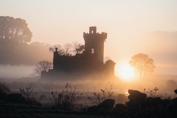 Первый весенний цветок