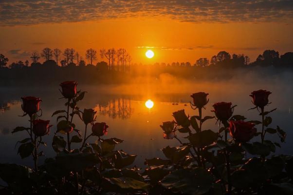 Прощание с Петербургом