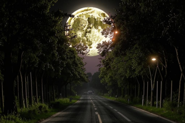 «Вот уж вечер. Роса...»