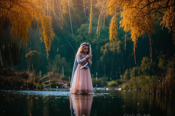 «Зашумели над затоном тростники...»