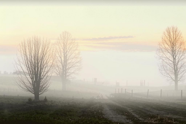 «Нивы сжаты, рощи голы...»