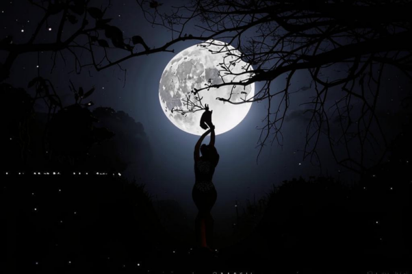 «Темна ноченька, не спится...»