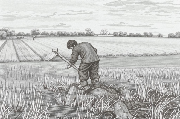 Брату человеку