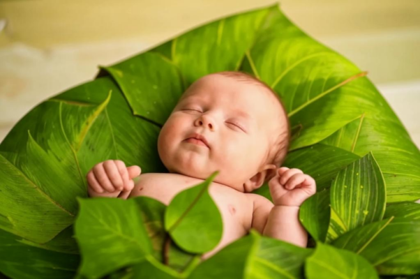 Гуси («Бай, бай, детка…»)