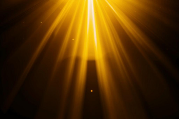 И. Д. Рудинскому