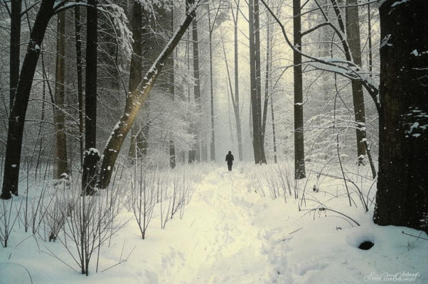 Что это такое?