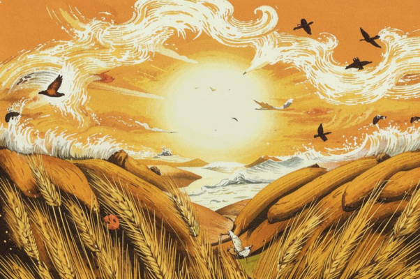 Нива («Нива, моя нива…»)