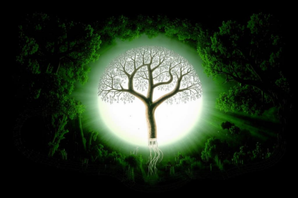 «Увы, праматерь наша Ева...»