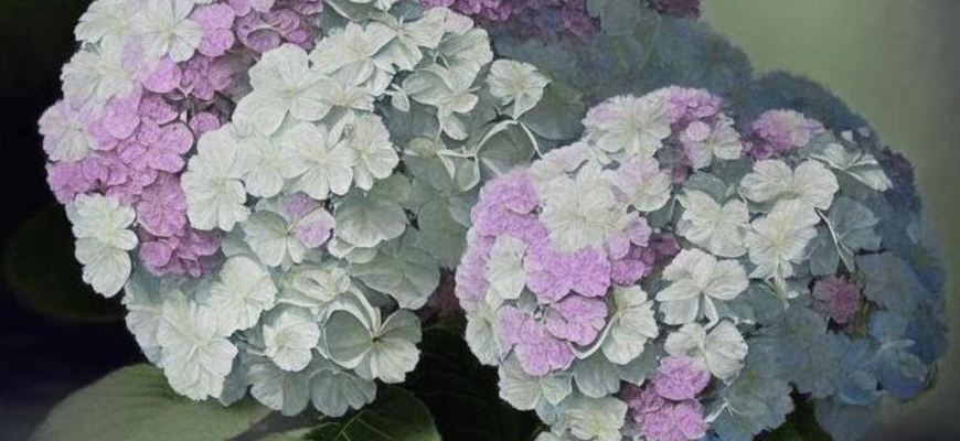 Во время болезни моей в Таганроге