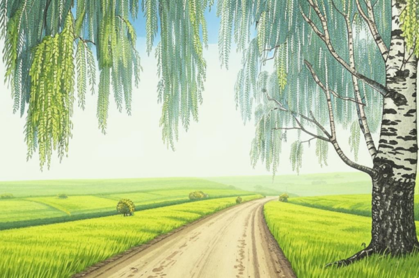 Придорожная береза