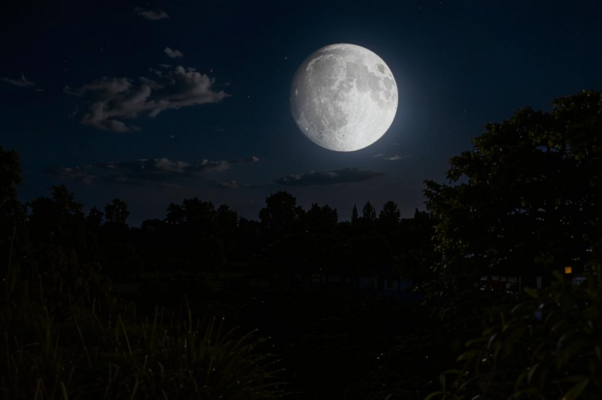 «Вашему величеству в отчете...»