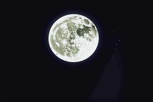 «Я должен вашему величеству признаться...»