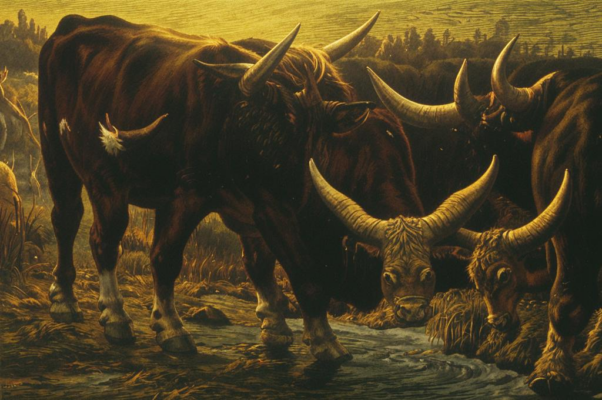 Бесполезная скромность