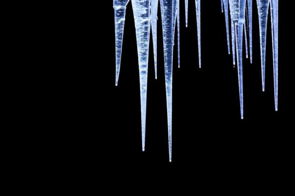 Ивиковы журавли