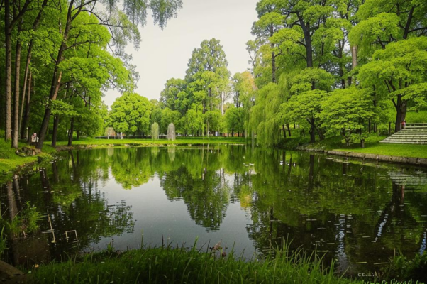 К Воейкову («Хвала, Воейков!  крот, сад…»)